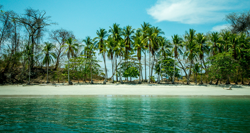Isla Palenque Panama