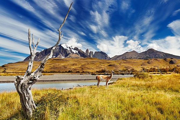 travel to patagonia
