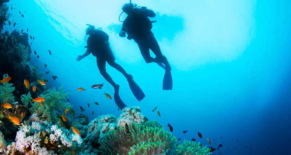 galapagos scuba diving