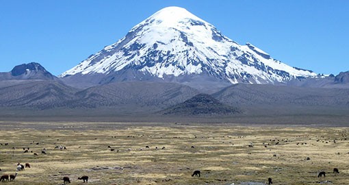 Bolivia national parks