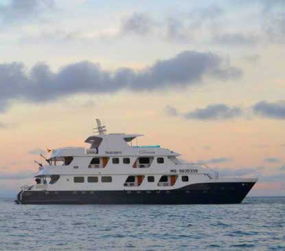 cormorant yacht packages