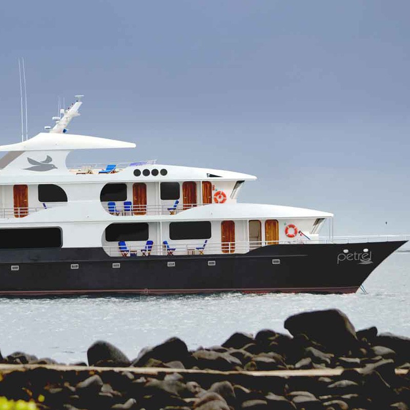 Petrel Galapagos Yacht
