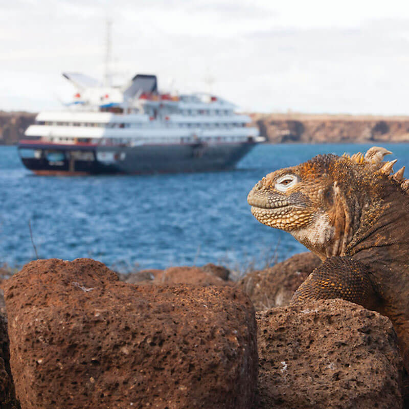 galapagos island tours