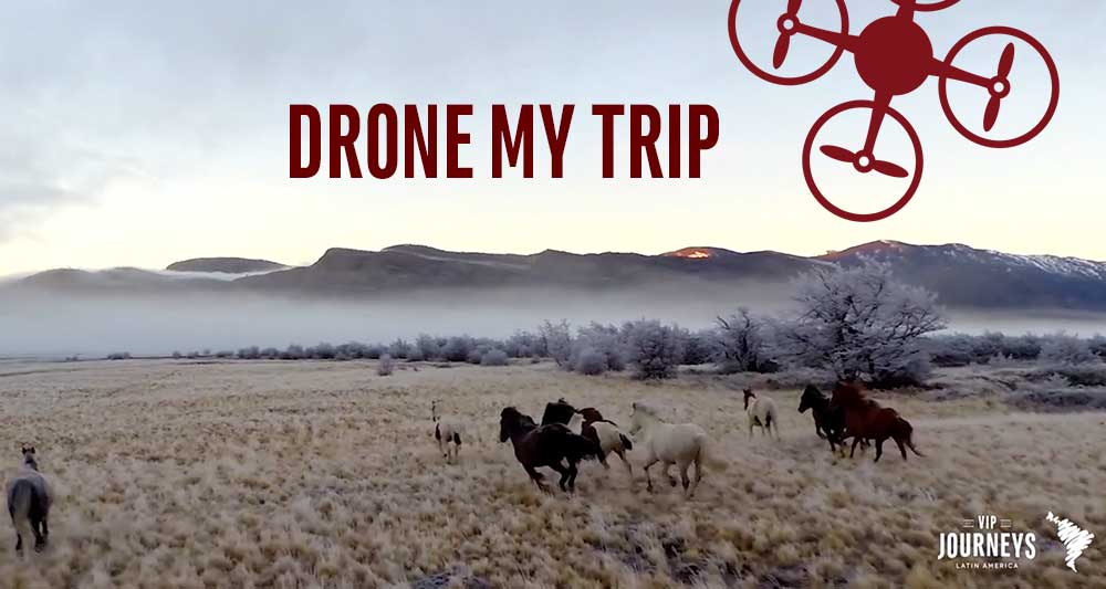 drone my trip